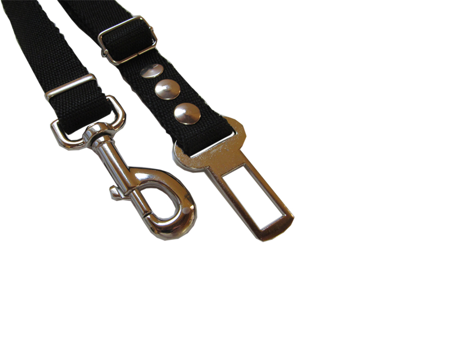 Cinturon de Seguridad