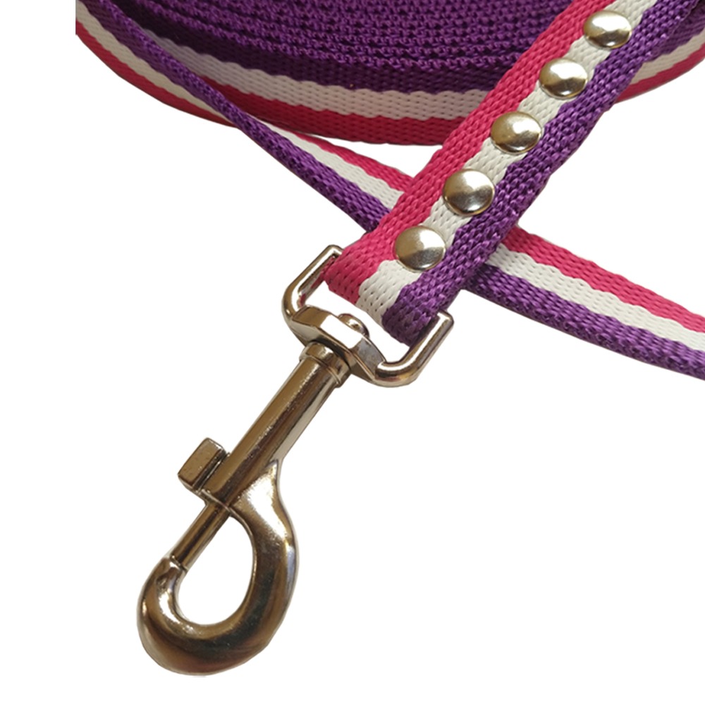 ¿Cómo elegir el largo de correa ideal para tu perro según su tamaño?